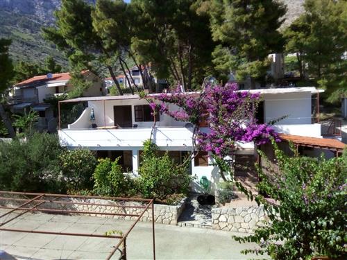 Ferieleilighet - 4 personer -  - Ivan Dolac - 21465 - Jelsa