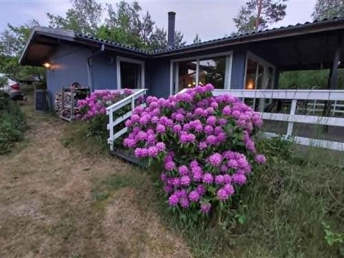Sommerhus - 6 personer -  - Perikumvej - 3720 - Åkirkeby