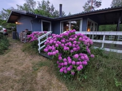 Feriehus - 6 personer -  - Perikumvej - 3720 - Åkirkeby