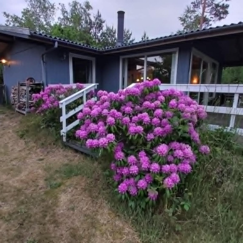 Ferienhaus - 6 Personen -  - Perikumvej - 3720 - Aakirkeby