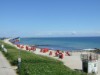 Bilde 6