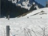Bild 29