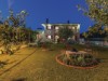 Image 54