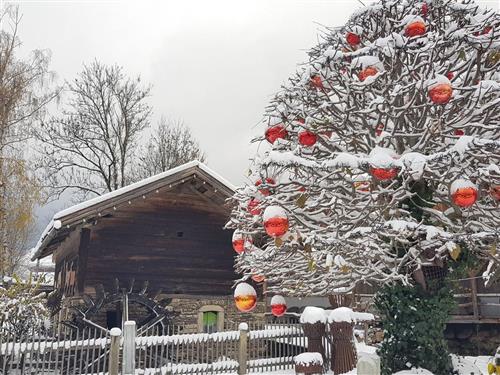 Semesterhus/Semesterlägenhet - 5 personer -  - Feriendorf a.H.B. - Hs. 50 EG - 93474 - Arrach