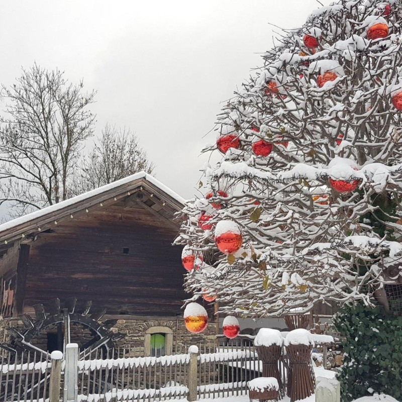 Ferielejlighed - 5 personer -  - Feriendorf a.H.B. - Hs. 50 EG - 93474 - Arrach