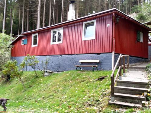 Holiday Home/Apartment - 6 persons -  - 07426 - Oberhain - Königsee