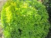 Bild 22 - Aussen