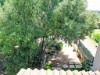 Image 18 - Outside