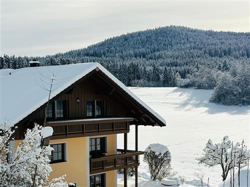 Ferienhaus - 8 Personen -  - Bärnzell - 94227 - Zwiesel