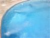 Bilde 22