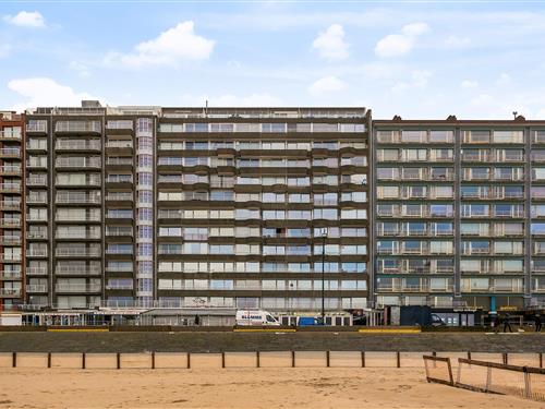 Semesterlägenhet - 6 personer -  - 8370 - Blankenberge