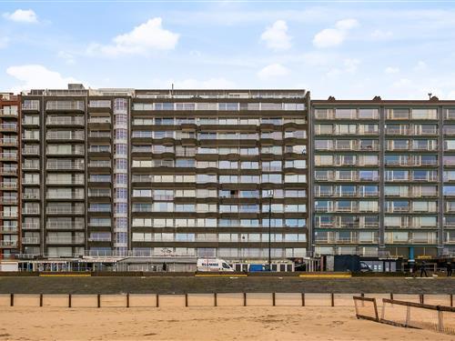 Ferielejlighed - 6 personer -  - 8370 - Blankenberge