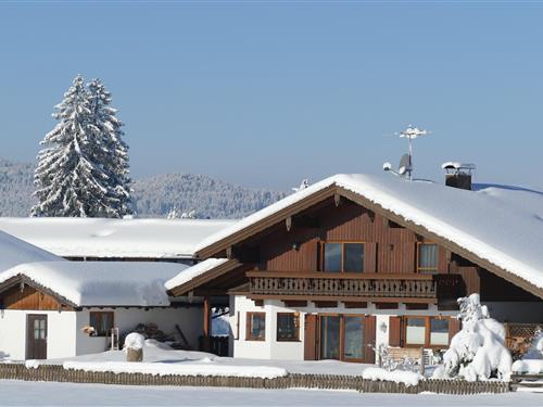 Ferielejlighed - 2 personer -  - 82442 - Altenau