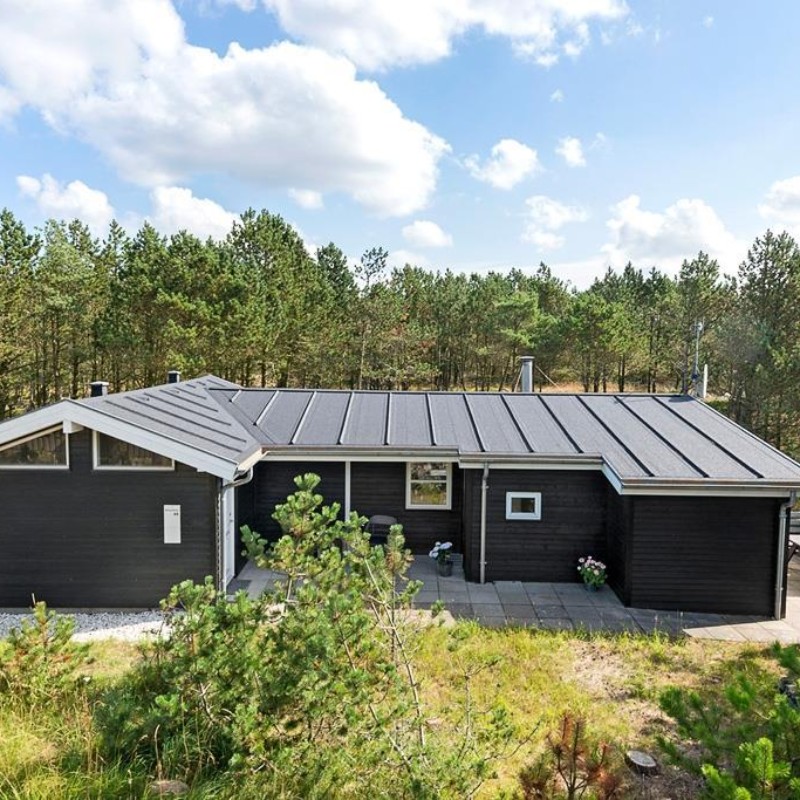 Ferienhaus - 6 Personen -  - Blåmunkevej - Vorupör - 7700 - Thisted