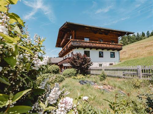 Holiday apartment - 9 persons -  - Neukirchen Am Großvenediger - 5741