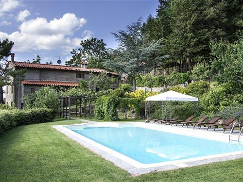 Ferienhaus - 12 Personen -  - 52044 - Cortona