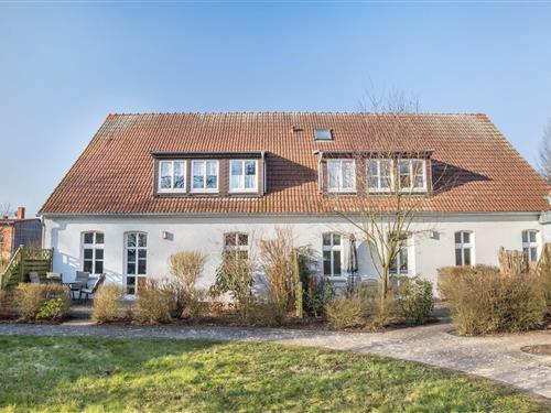 Ferieleilighet - 2 personer -  - 17209 - Buchholz Am Müritzsee