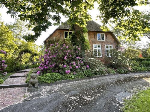 Ferienwohnung - 3 Personen -  - Pastoratsweg - 25836 - Welt