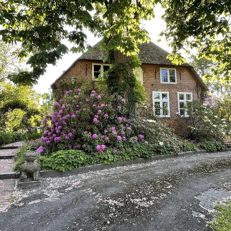 Ferielejlighed - 3 personer -  - Pastoratsweg - 25836 - Welt