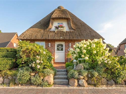 Ferienhaus - 4 Personen -  - Süderwaygaard - 25899 - Dagebüll