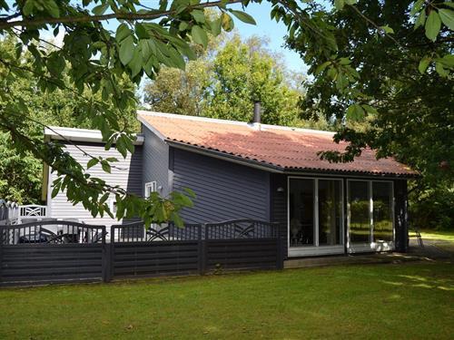 Ferienhaus - 8 Personen -  - Vestskoven - Arrild - 6520 - Toftlund