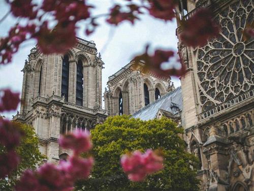 Holiday apartment - 10 persons -  - 75017 - Paris