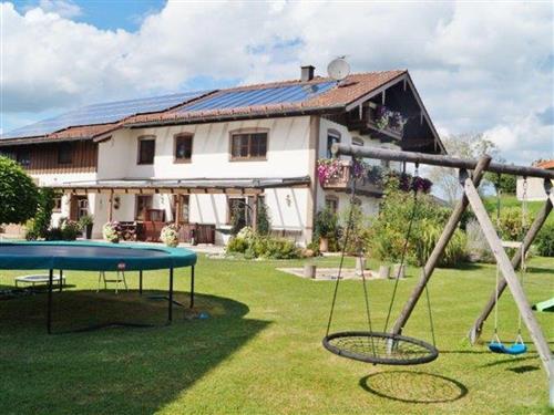 Bondegård - 5 personer -  - Mühlberg - 83367 - Petting