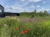 Billede 26 - Grund
