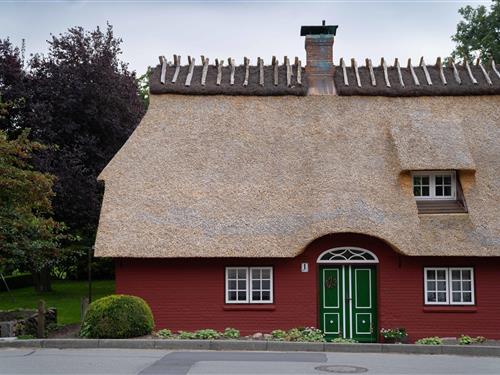 Holiday apartment - 4 persons -  - Ruruper Straße - 24392 - Norderbrarup