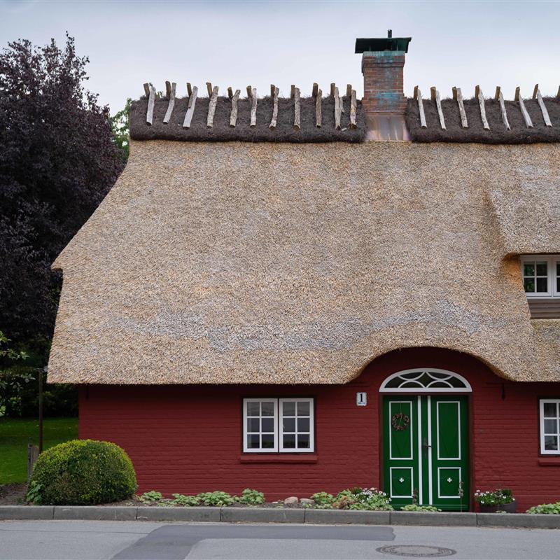 Ferielejlighed - 4 personer -  - Ruruper Straße - 24392 - Norderbrarup