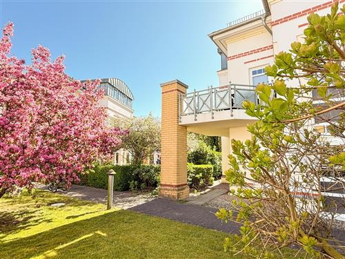 Ferielejlighed - 6 personer -  - Hafenstr. - 18374 - Zingst