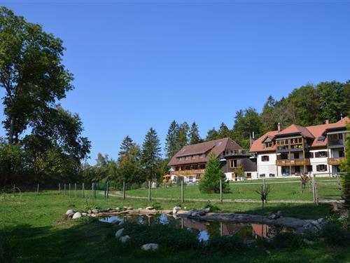 Holiday Home/Apartment - 5 persons -  - 79875 - Dachsberg Ot Urberg