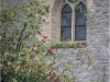 Bild 36