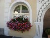 Bild 7 - Aussen