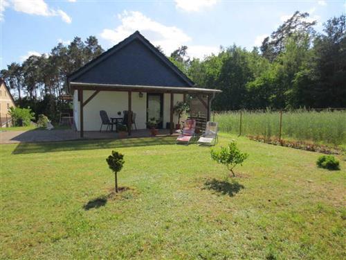 Ferienhaus - 2 Personen -  - Springstraße - 17279 - Lychen