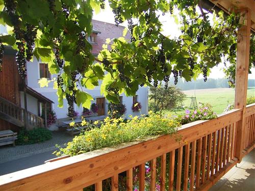 Holiday Home/Apartment - 4 persons -  - Schönthanner Straße - 92539 - Schönsee