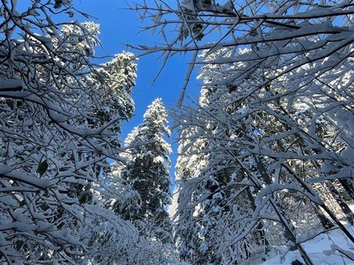 Ferienwohnung - 2 Personen -  - Am Heilholz 32 a - 83075 - Bad Feilnbach