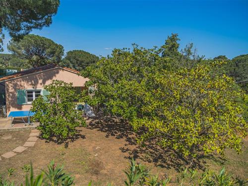 Feriehus / leilighet - 8 personer -  - località capo perla, 38 capo perla - 57031 - Capoliveri