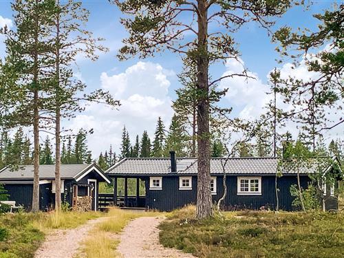 Sommerhus - 8 personer -  - Ryskdalen hytteomeråde - Trysil/Østby - 2423 - Østby