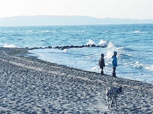 Feriesenter - 6 personer -  - Erlenweg - 23669 - Timmendorfer Strand