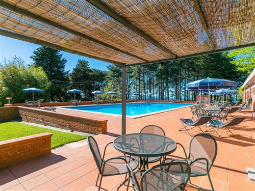 Ferielejlighed - 4 personer -  - Montaione - 50050