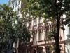 Image 13