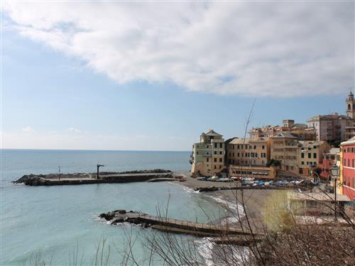 Ferieleilighet - 4 personer -  - Bogliasco - 16031