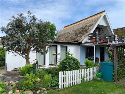 Ferielejlighed - 3 personer -  - Zeltplatzstr. - 18356 - Pruchten