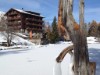 Bild 26 - Ude
