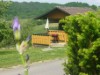Bilde 6