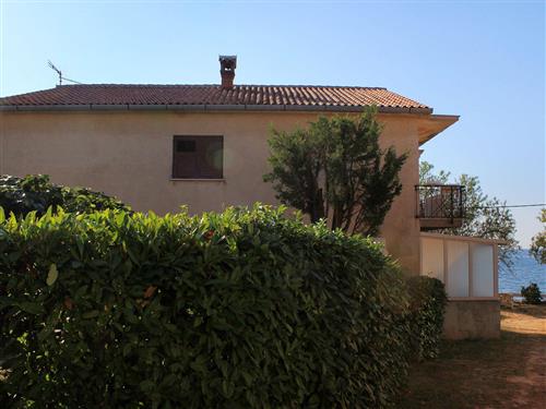 Ferielejlighed - 3 personer -  - Sveti Ivan 38a, Križine - 52470 - Umag