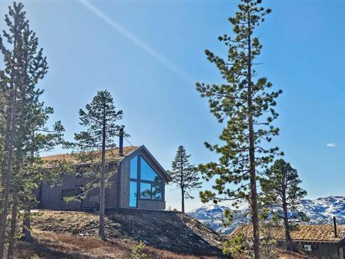 Sommerhus - 9 personer -  - Måsåfjellvegen - 3697 - Tuddal