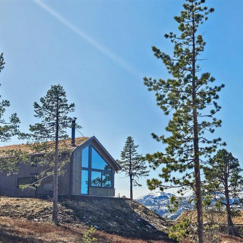 Sommerhus - 9 personer -  - Måsåfjellvegen - 3697 - Tuddal