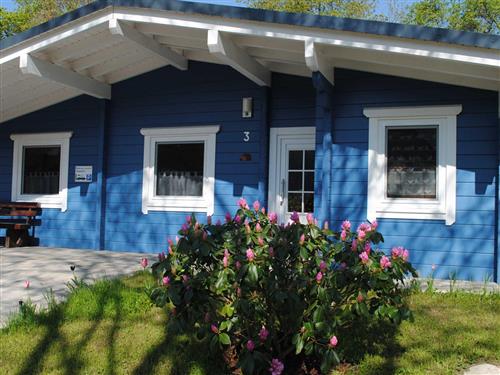 Feriehus - 8 personer -  - Ferienstraße - 34549 - Edertal / Edersee-Hemfurt